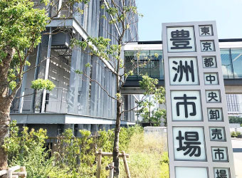 採用情報